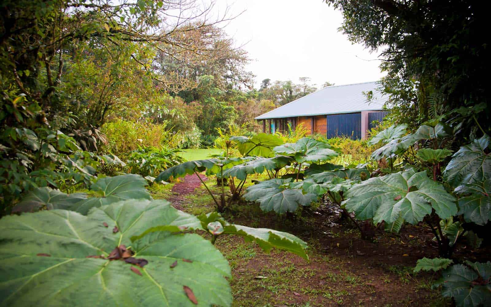Poás Volcano Lodge
